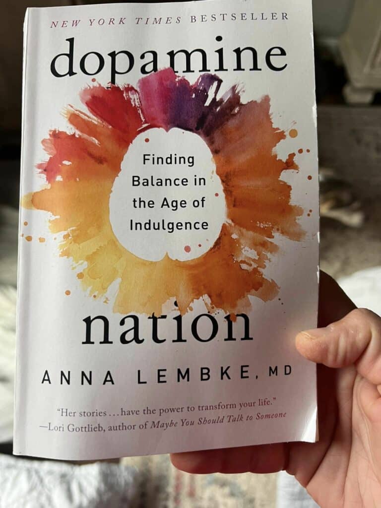 Book cover of "dopamine nation".