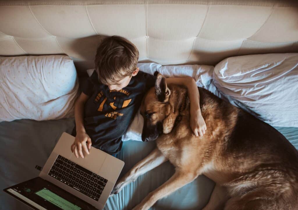 a-young-child-does-flipped classroom learning on laptop at home