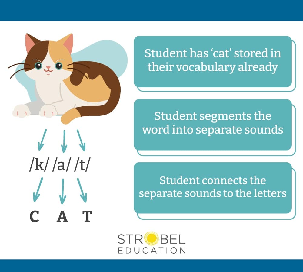 Orthographic_Mapping
