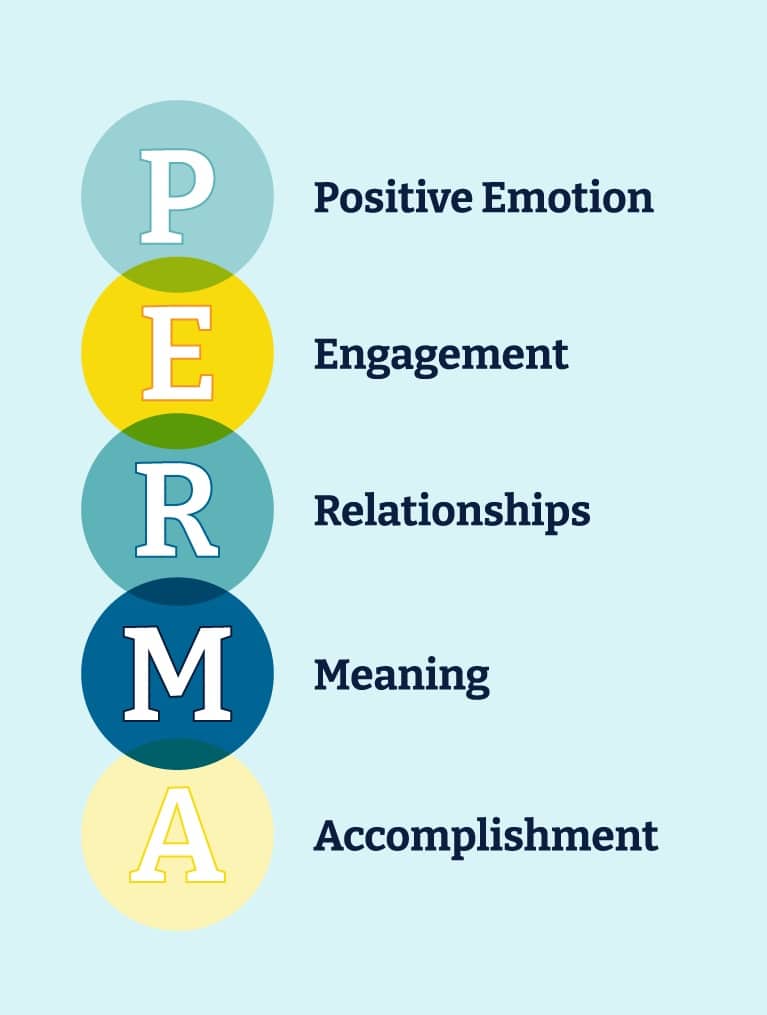 PERMA Model Graphic